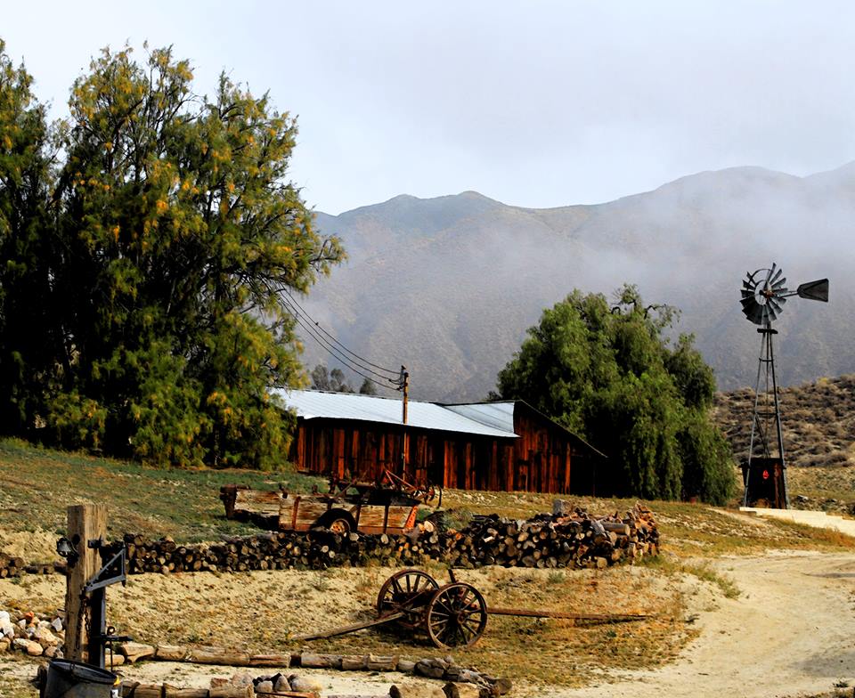 Ranch House Windmill Woodpile